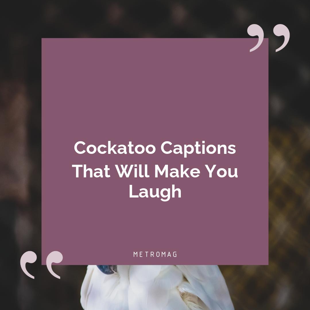 Cockatoo Captions That Will Make You Laugh