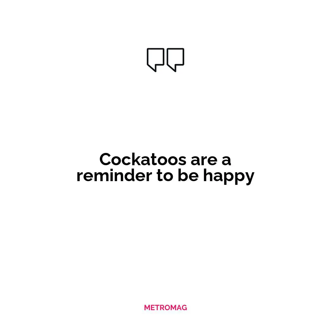 Cockatoos are a reminder to be happy