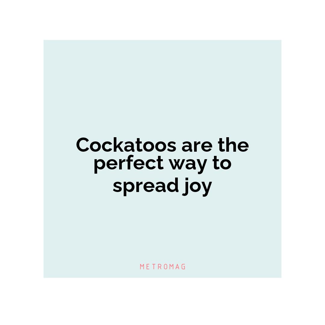 Cockatoos are the perfect way to spread joy
