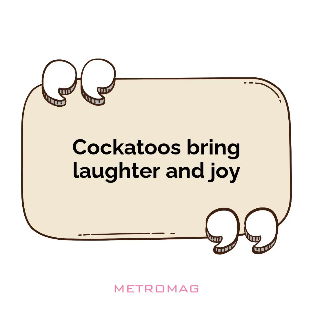 Cockatoos bring laughter and joy