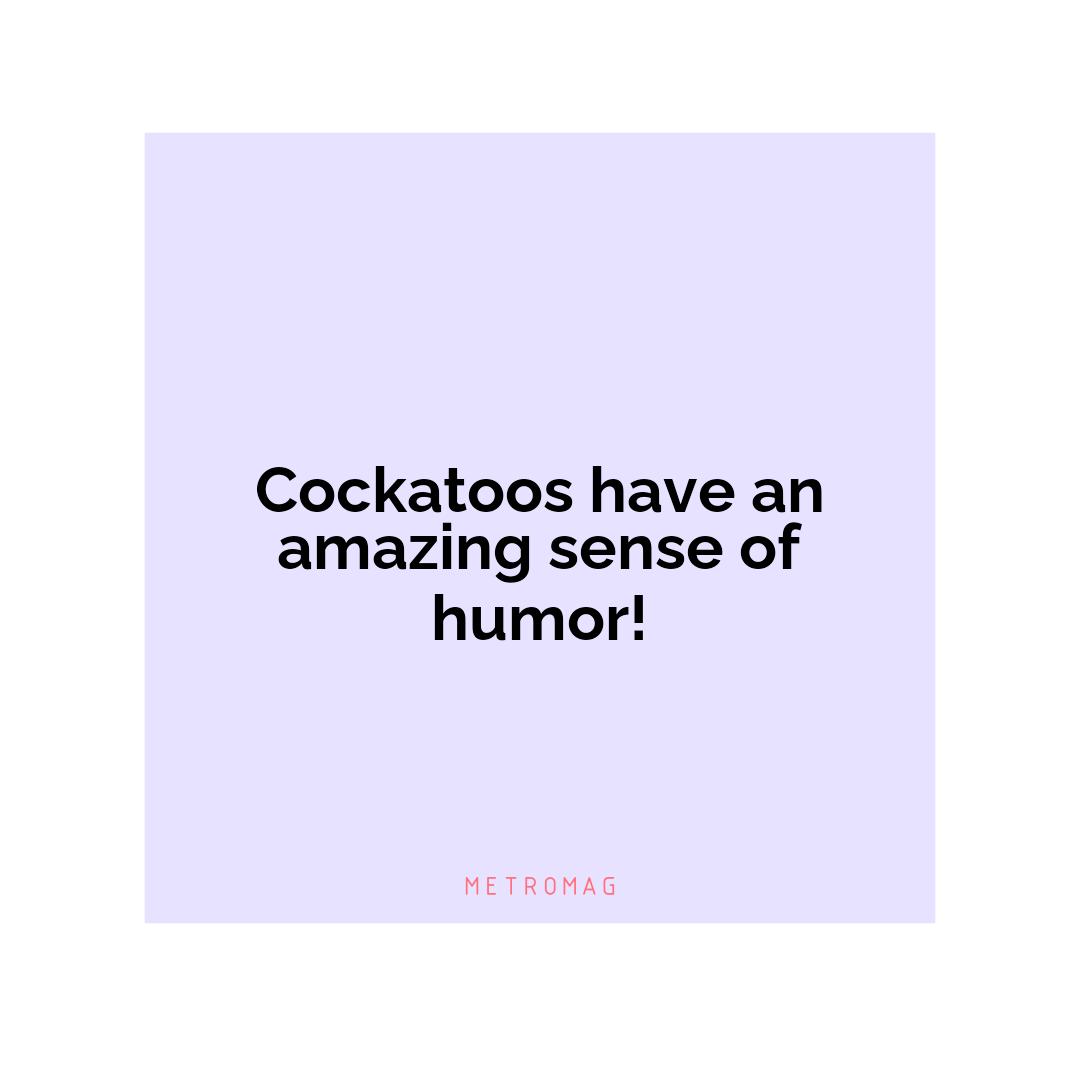 Cockatoos have an amazing sense of humor!