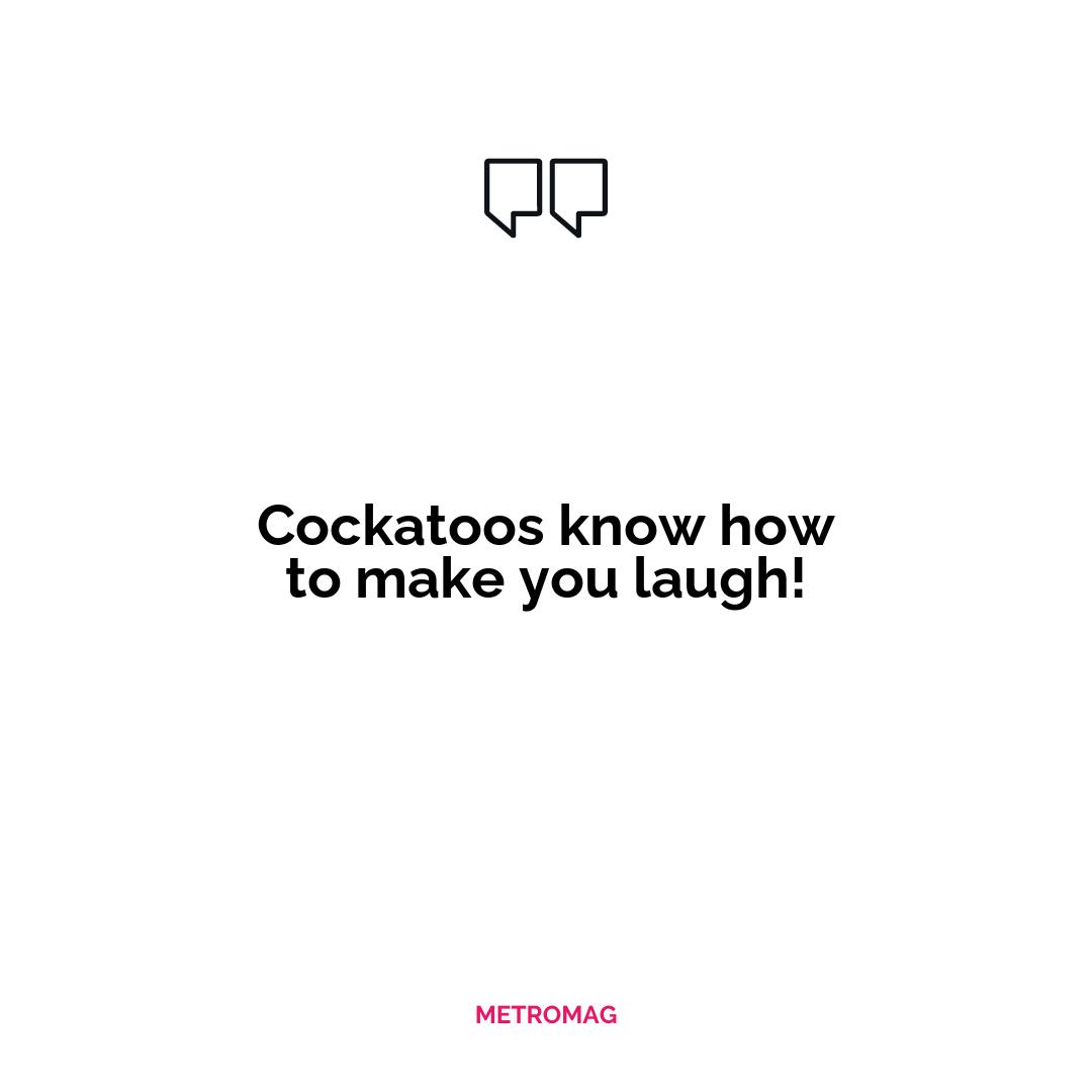 Cockatoos know how to make you laugh!