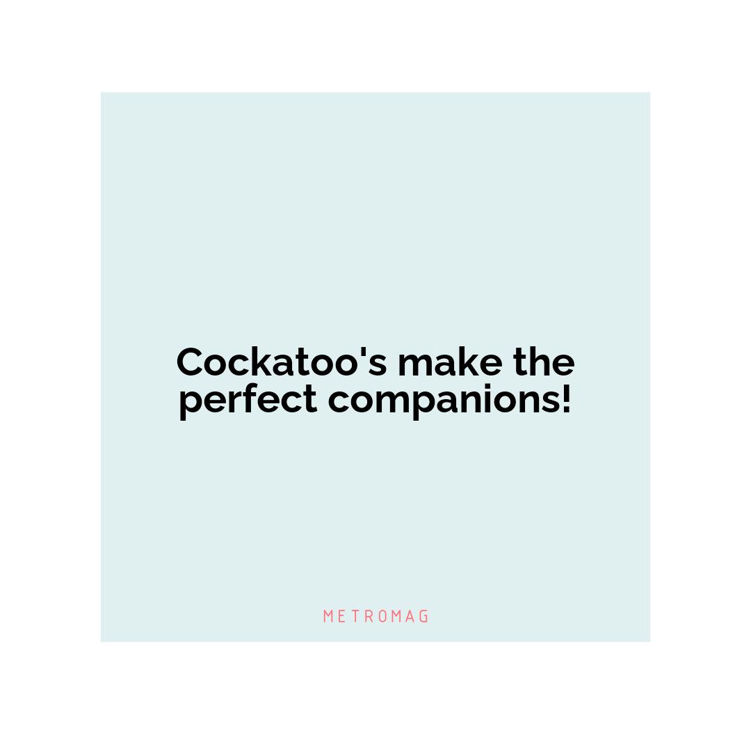 Cockatoo's make the perfect companions!