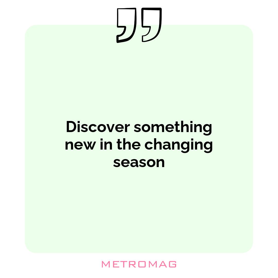 Discover something new in the changing season