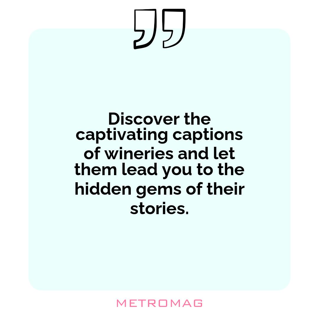 Discover the captivating captions of wineries and let them lead you to the hidden gems of their stories.