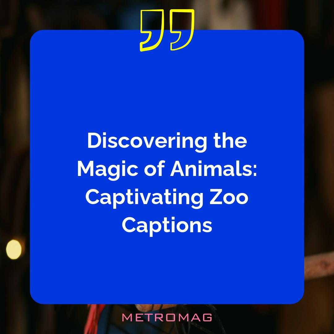 Discovering the Magic of Animals: Captivating Zoo Captions