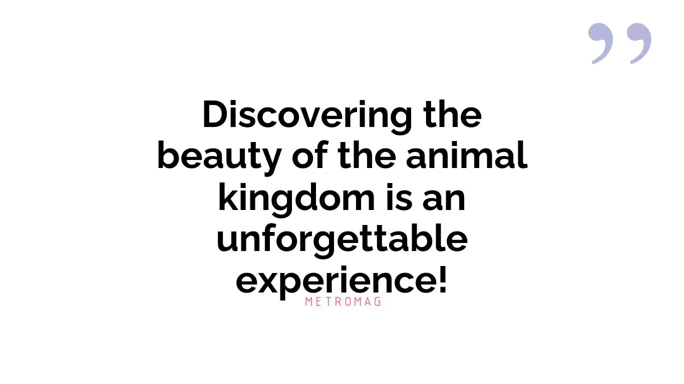 Discovering the beauty of the animal kingdom is an unforgettable experience!