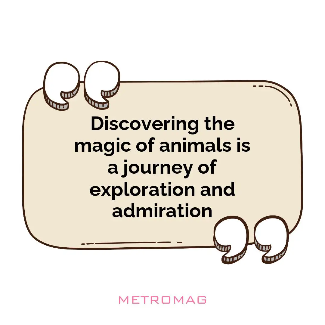 Discovering the magic of animals is a journey of exploration and admiration