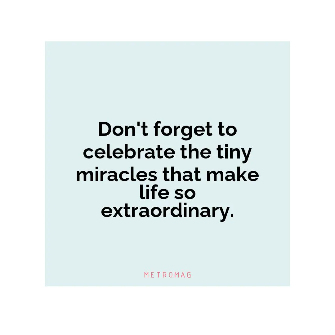 Don't forget to celebrate the tiny miracles that make life so extraordinary.
