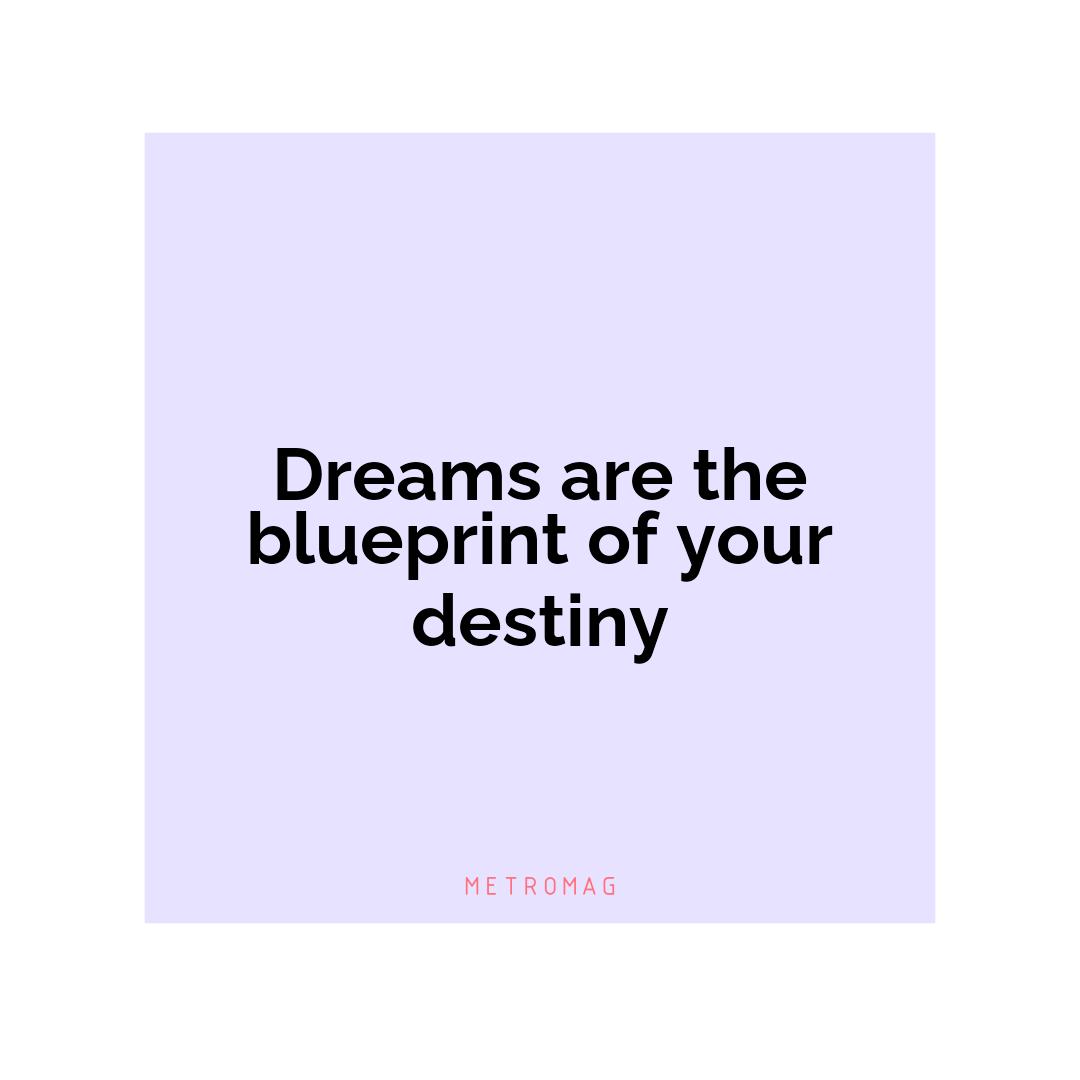 Dreams are the blueprint of your destiny