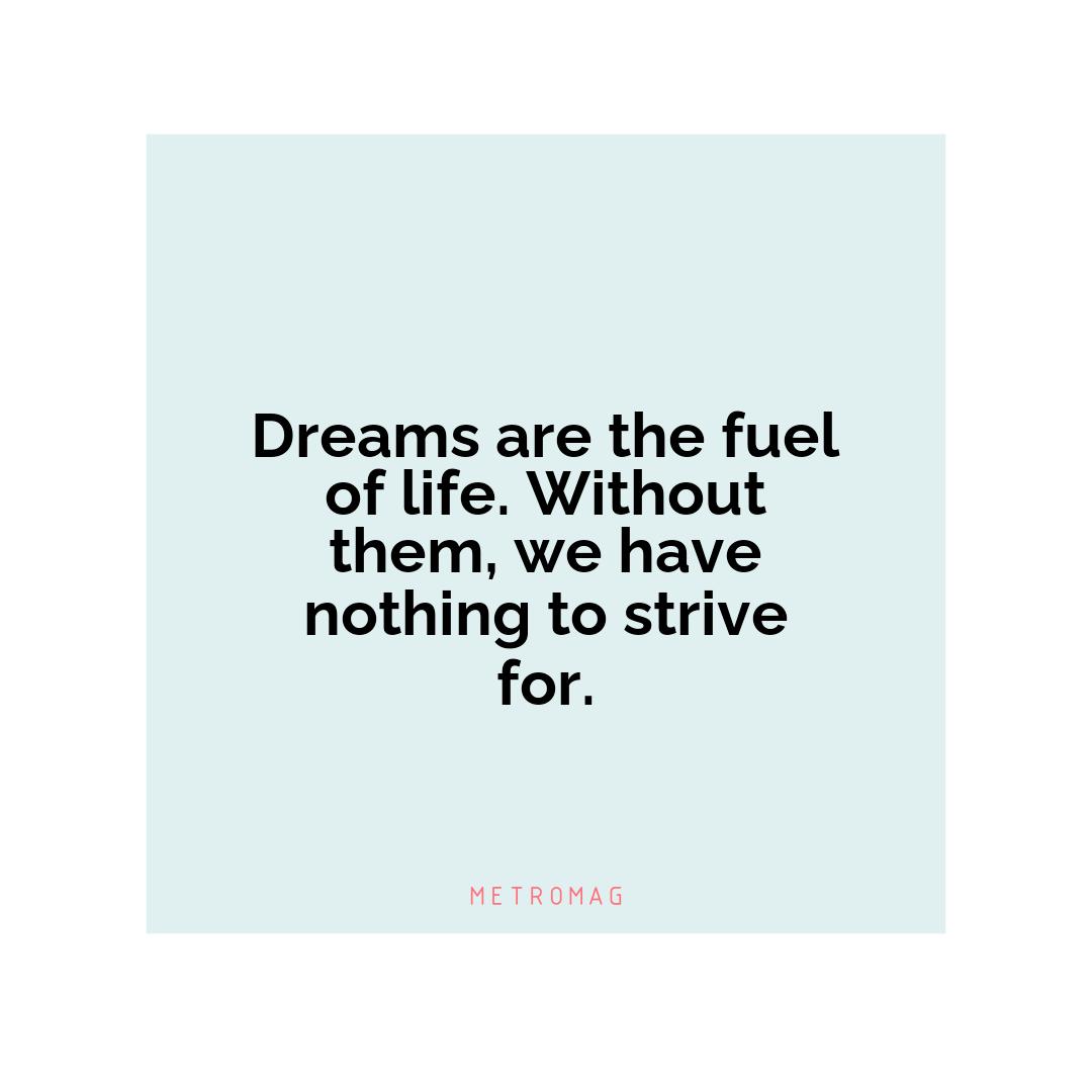 Dreams are the fuel of life. Without them, we have nothing to strive for.