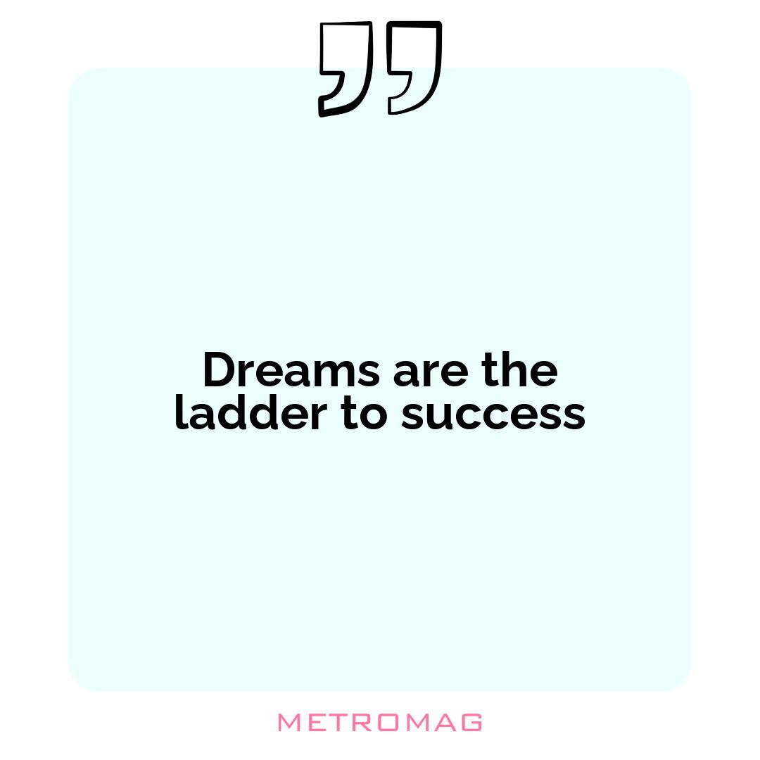 Dreams are the ladder to success