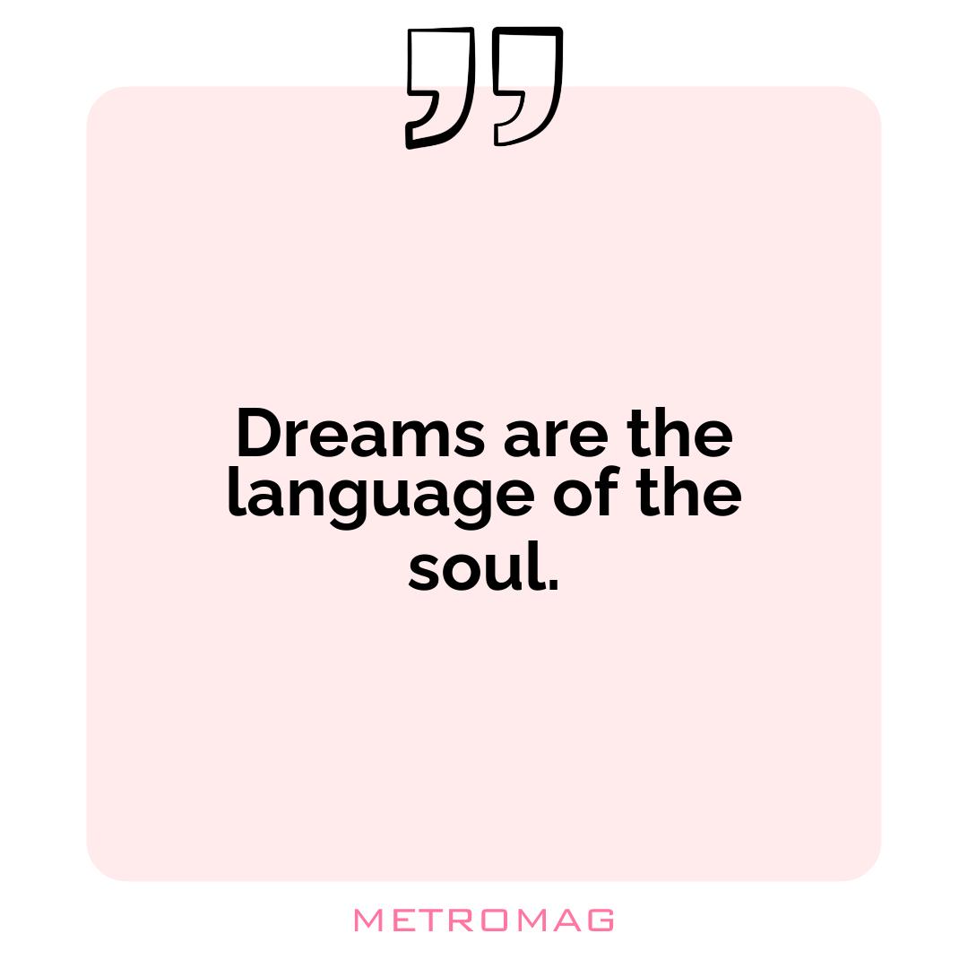 Dreams are the language of the soul.