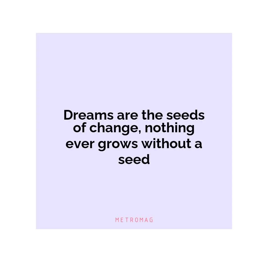 Dreams are the seeds of change, nothing ever grows without a seed