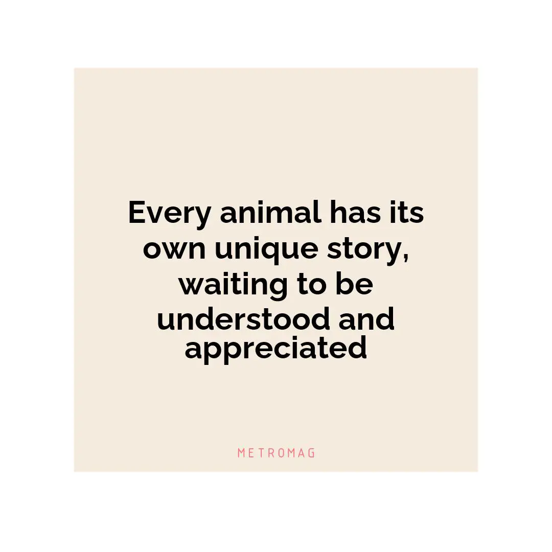 Every animal has its own unique story, waiting to be understood and appreciated