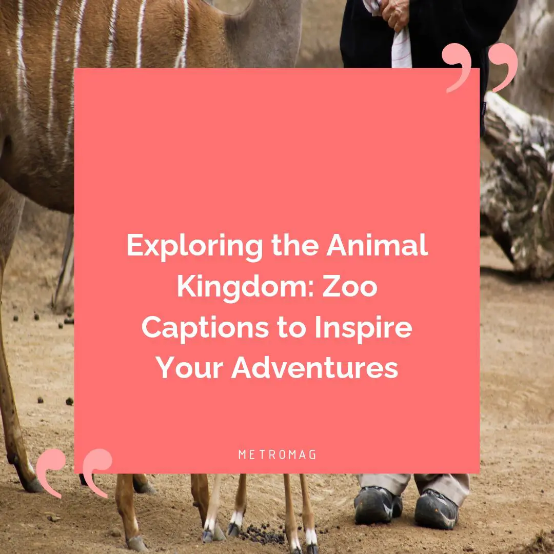 Exploring the Animal Kingdom: Zoo Captions to Inspire Your Adventures