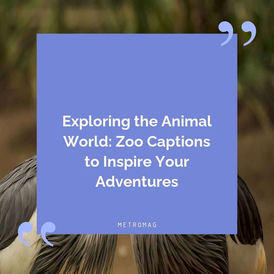 Exploring the Animal World: Zoo Captions to Inspire Your Adventures
