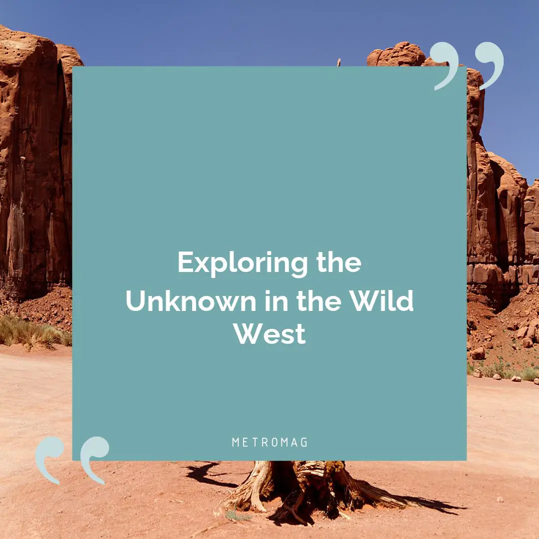 Exploring the Unknown in the Wild West