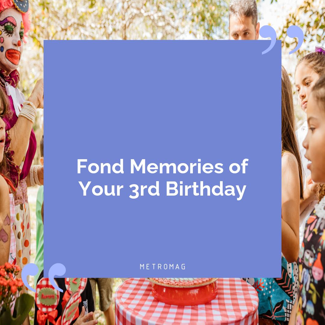 Fond Memories of Your 3rd Birthday