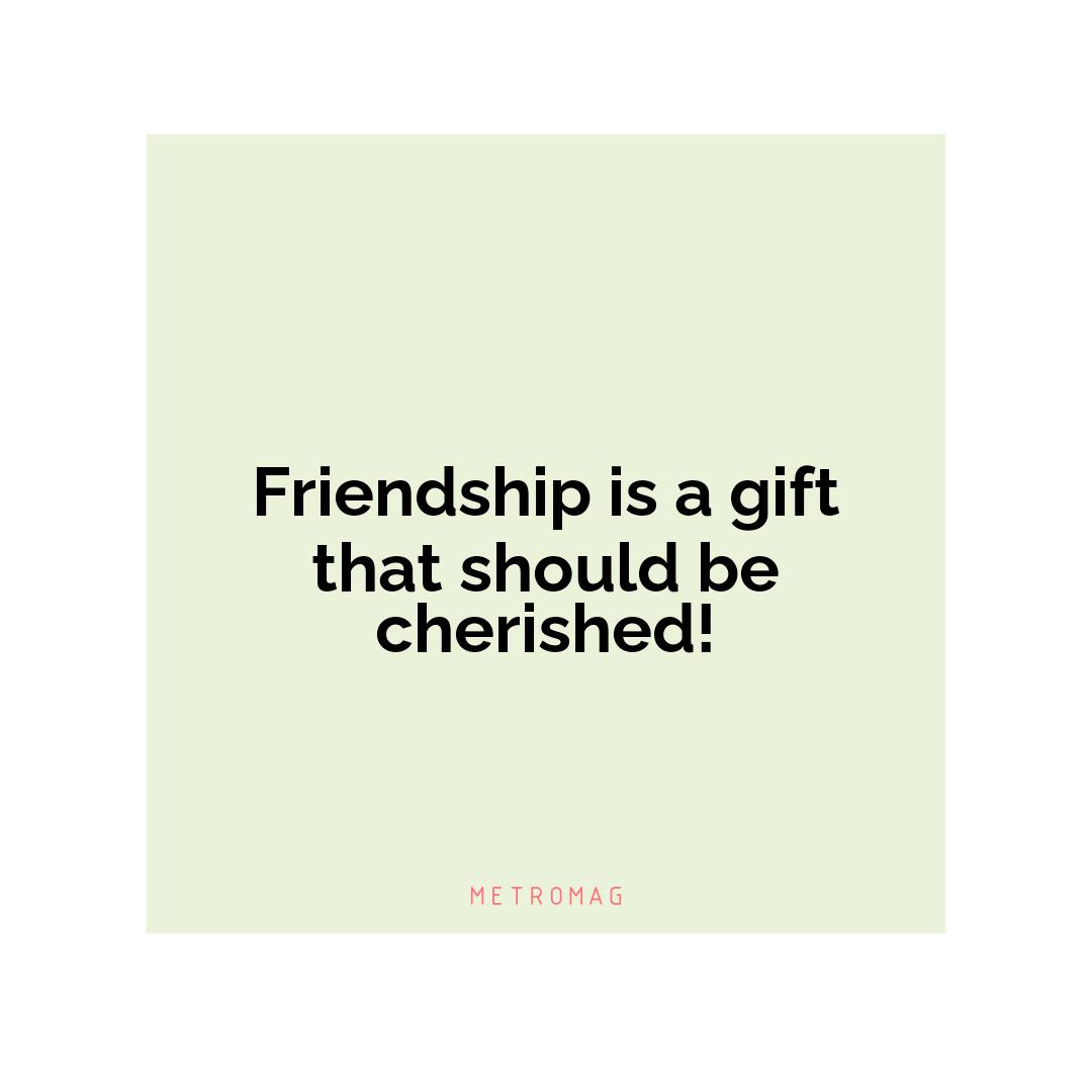 Friendship is a gift that should be cherished!