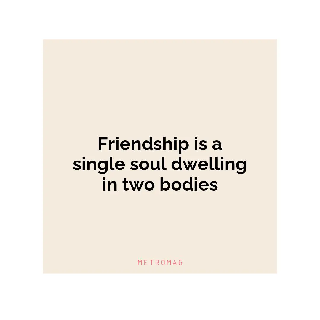 Friendship is a single soul dwelling in two bodies
