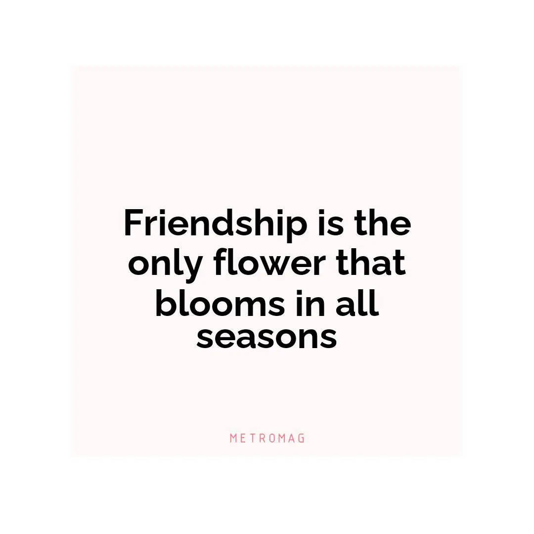 Friendship is the only flower that blooms in all seasons