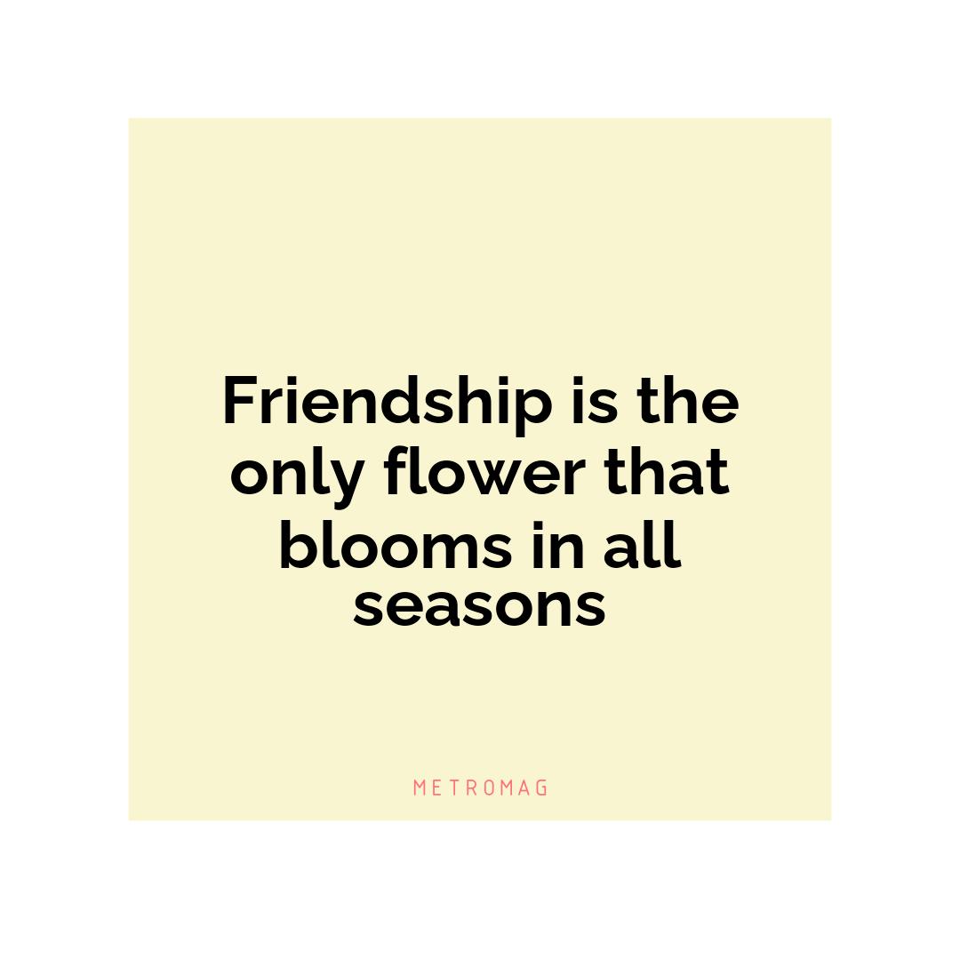 Friendship is the only flower that blooms in all seasons