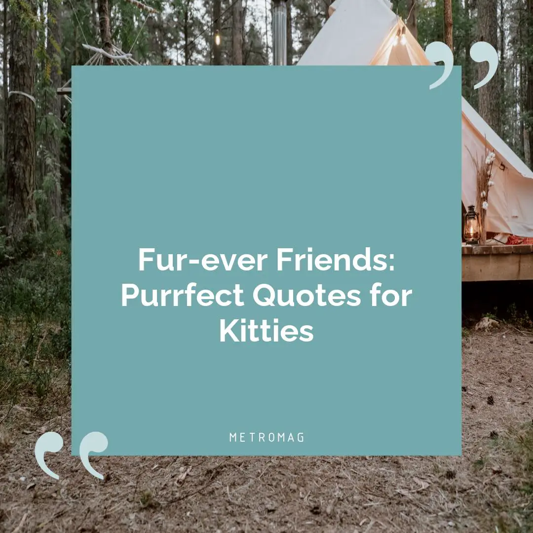 Fur-ever Friends: Purrfect Quotes for Kitties