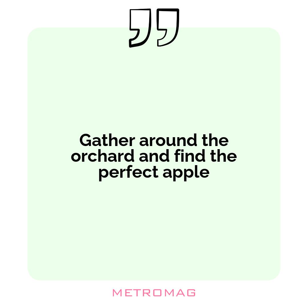 Gather around the orchard and find the perfect apple