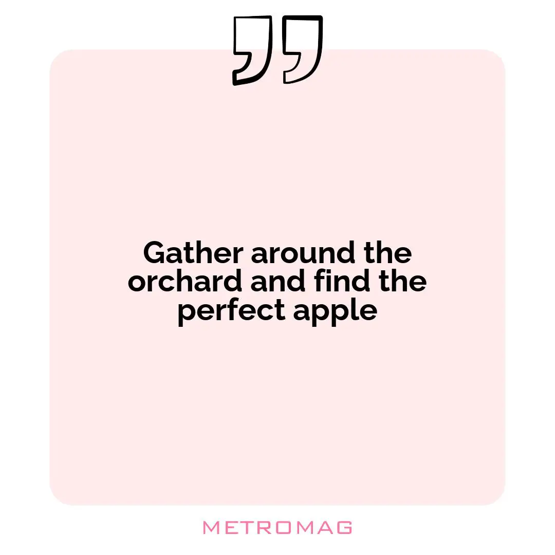 Gather around the orchard and find the perfect apple