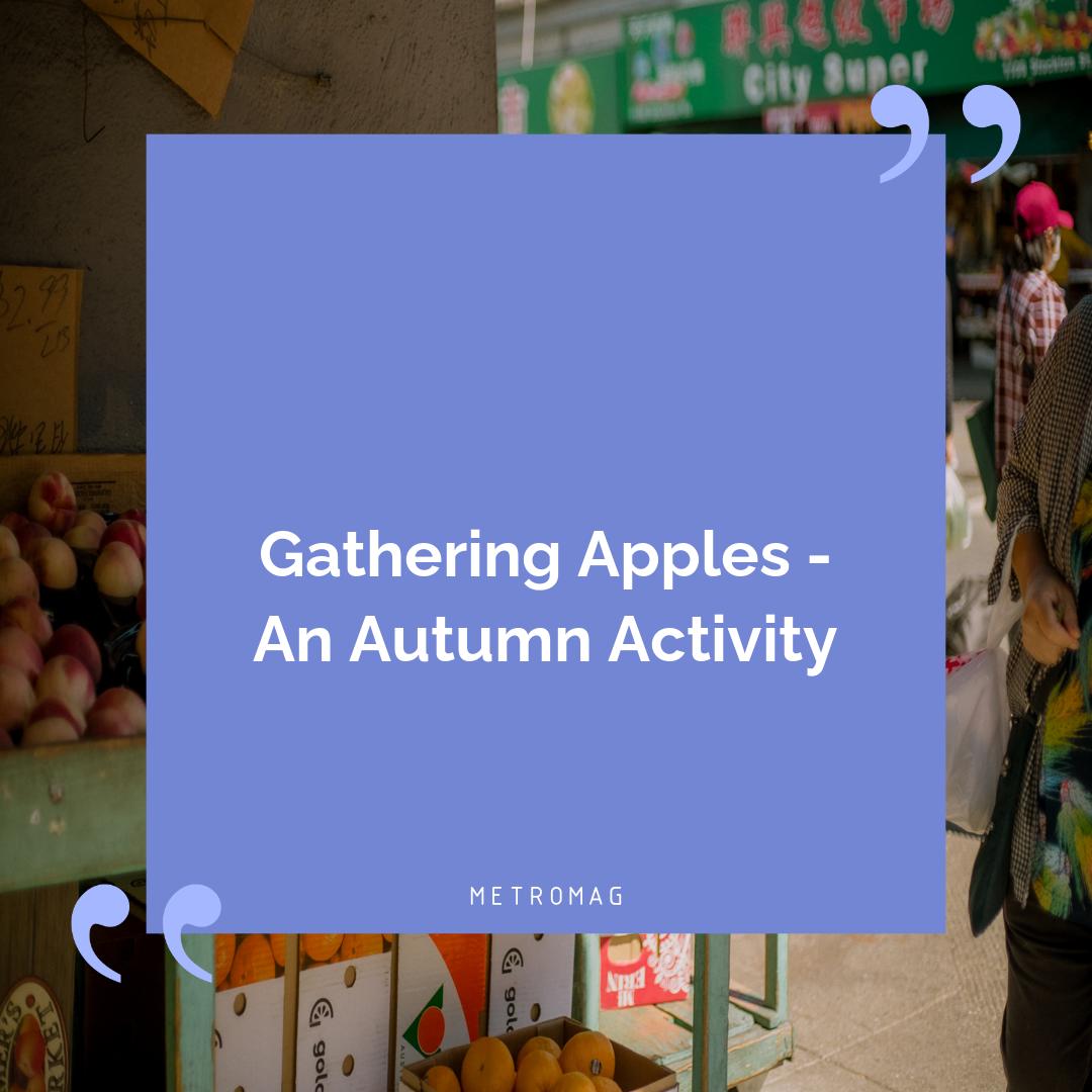 Gathering Apples - An Autumn Activity
