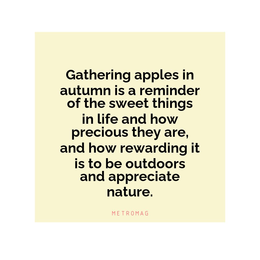 Gathering apples in autumn is a reminder of the sweet things in life and how precious they are, and how rewarding it is to be outdoors and appreciate nature.