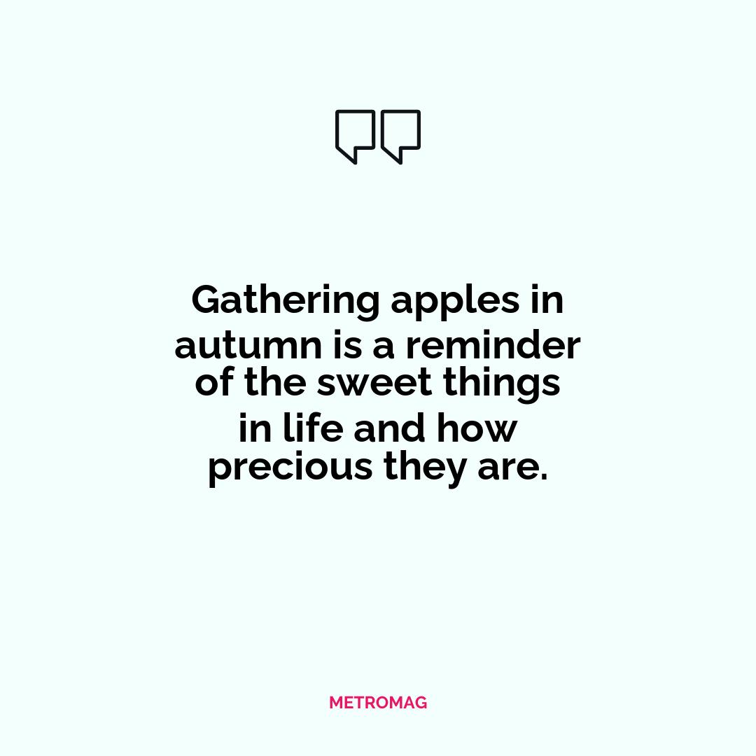 Gathering apples in autumn is a reminder of the sweet things in life and how precious they are.