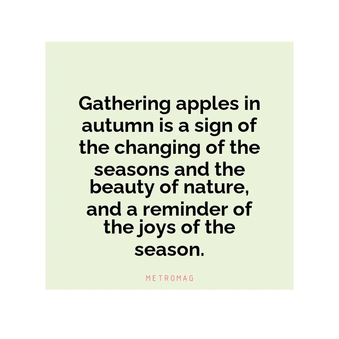 Gathering apples in autumn is a sign of the changing of the seasons and the beauty of nature, and a reminder of the joys of the season.