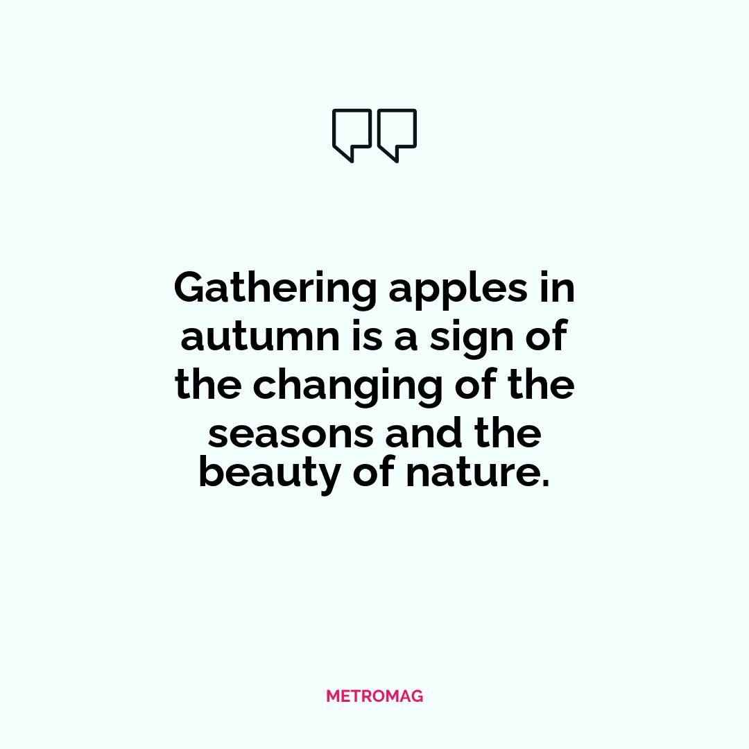 Gathering apples in autumn is a sign of the changing of the seasons and the beauty of nature.