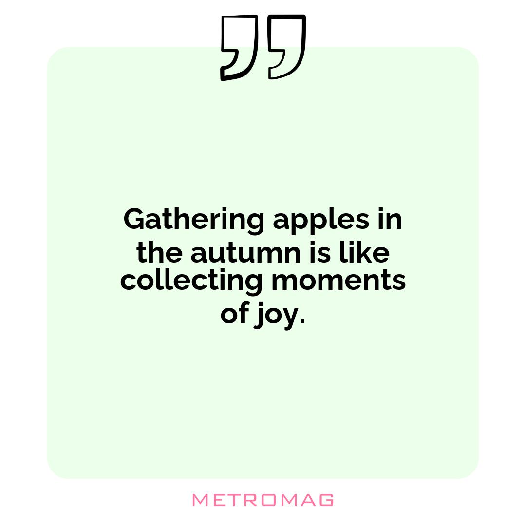 Gathering apples in the autumn is like collecting moments of joy.