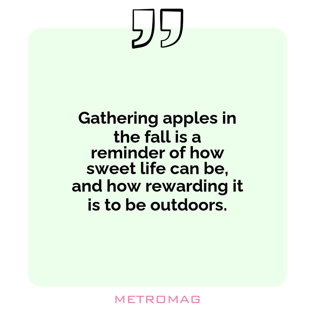 Gathering apples in the fall is a reminder of how sweet life can be, and how rewarding it is to be outdoors.