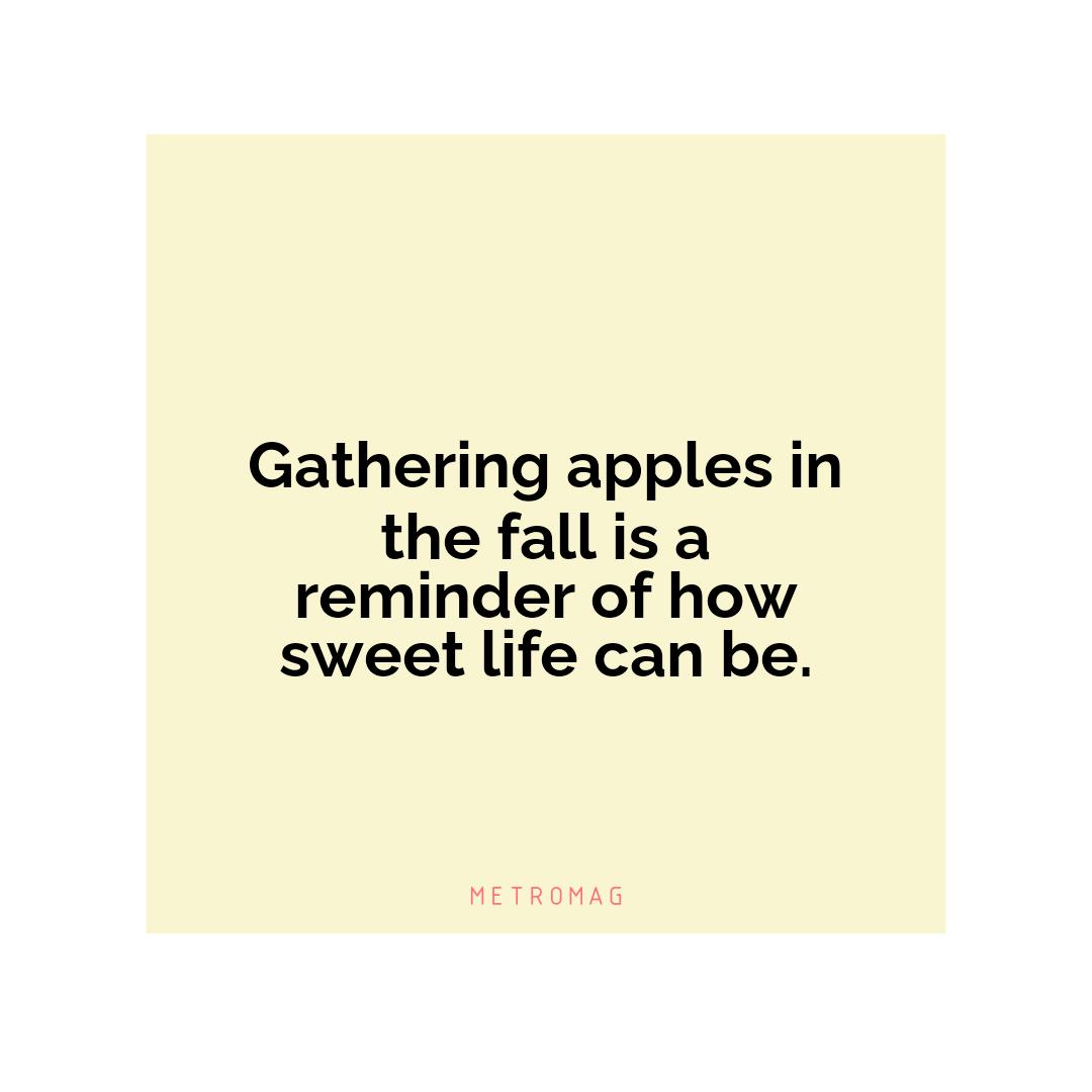 Gathering apples in the fall is a reminder of how sweet life can be.