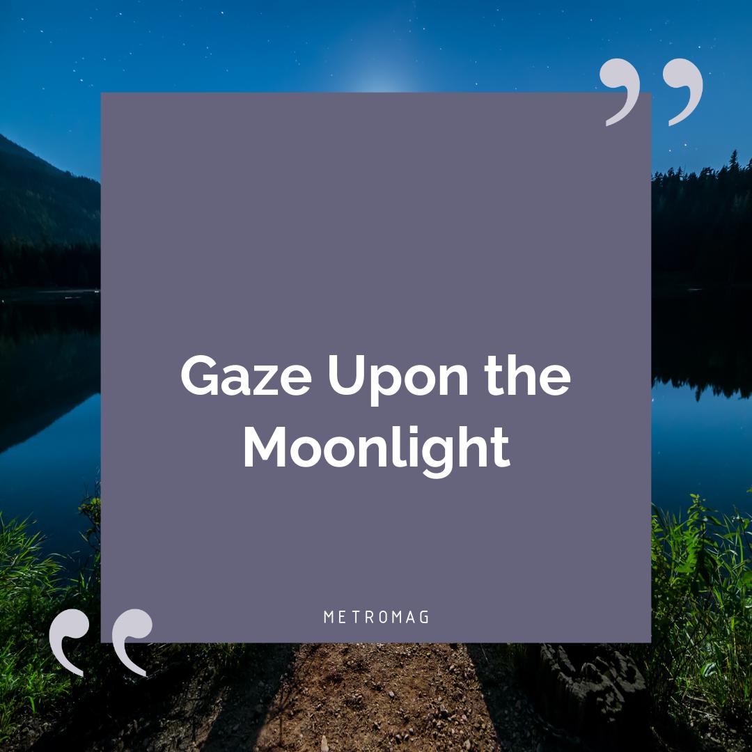 Gaze Upon the Moonlight