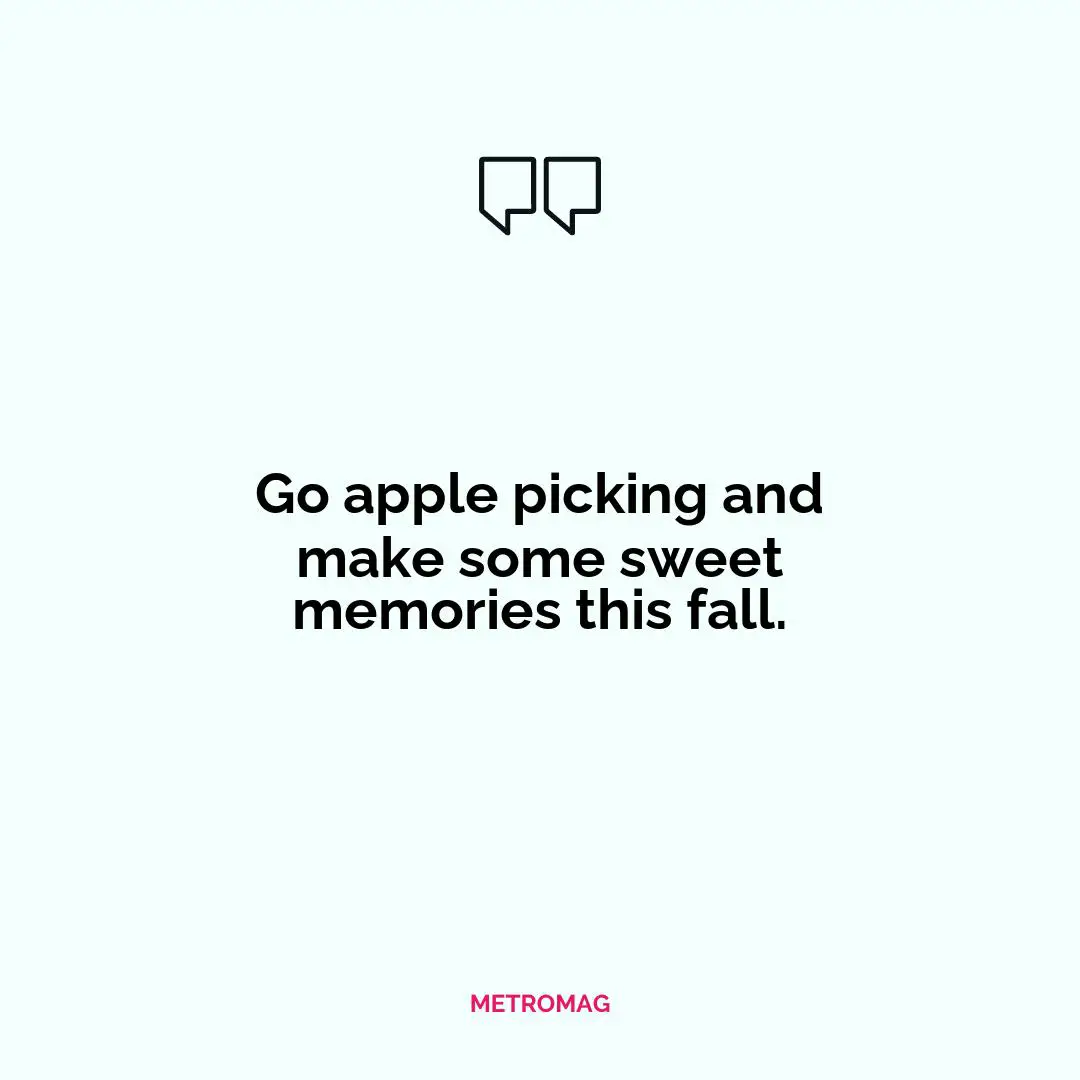 Go apple picking and make some sweet memories this fall.