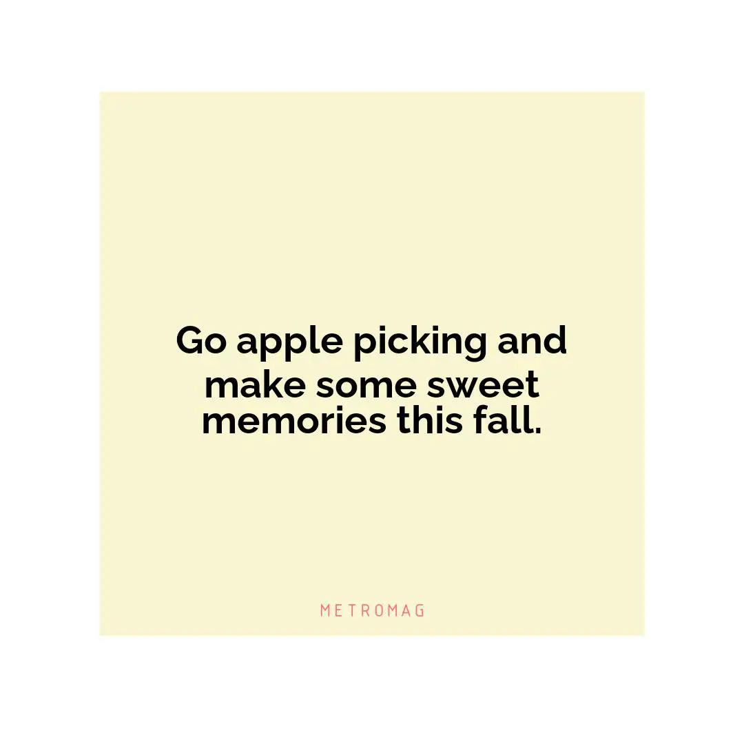 Go apple picking and make some sweet memories this fall.