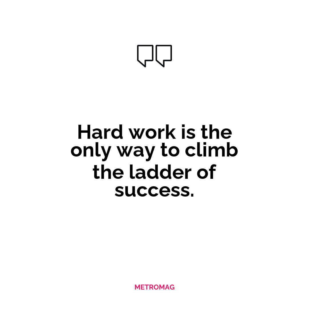 Hard work is the only way to climb the ladder of success.