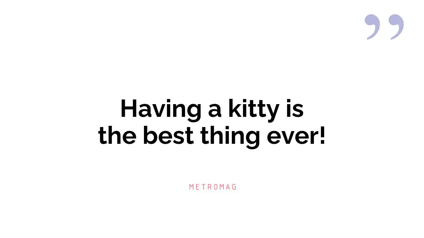 Having a kitty is the best thing ever!