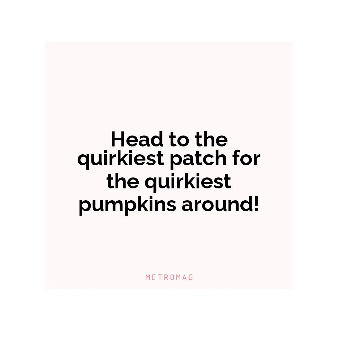 Head to the quirkiest patch for the quirkiest pumpkins around!