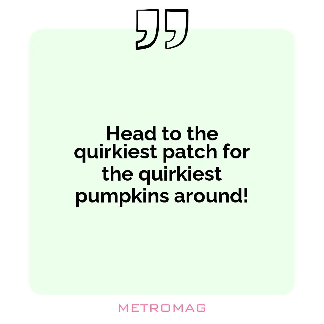 Head to the quirkiest patch for the quirkiest pumpkins around!