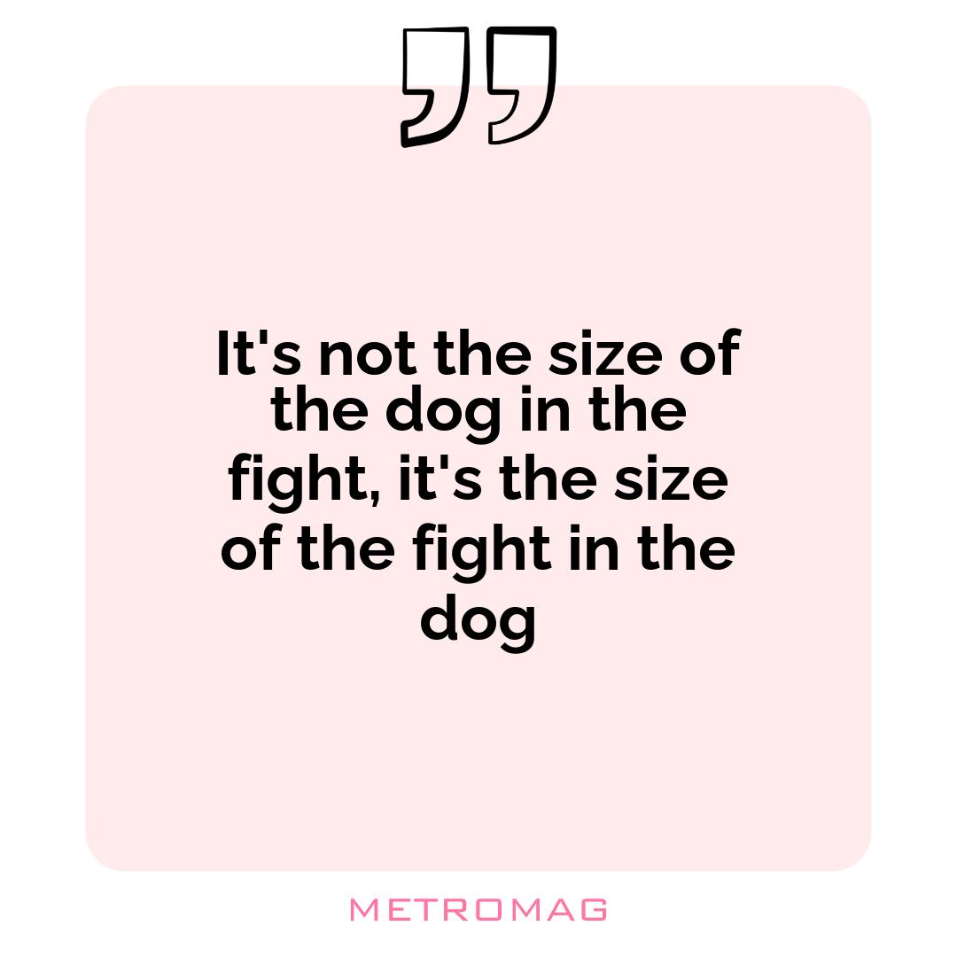 It's not the size of the dog in the fight, it's the size of the fight in the dog