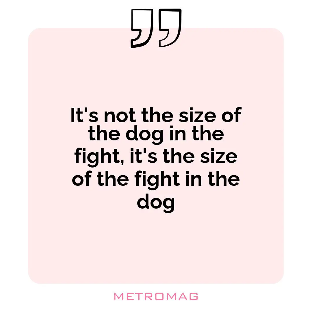 It's not the size of the dog in the fight, it's the size of the fight in the dog
