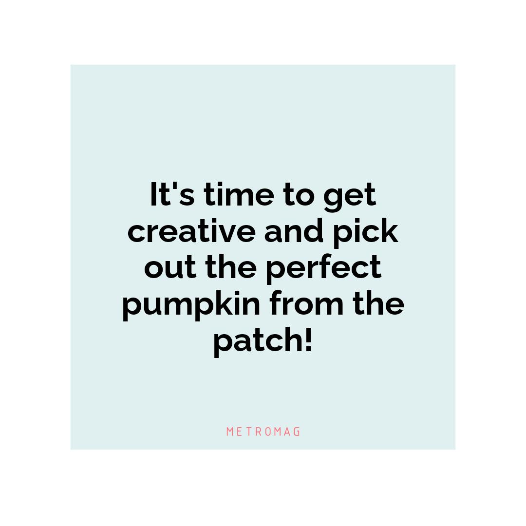 It's time to get creative and pick out the perfect pumpkin from the patch!