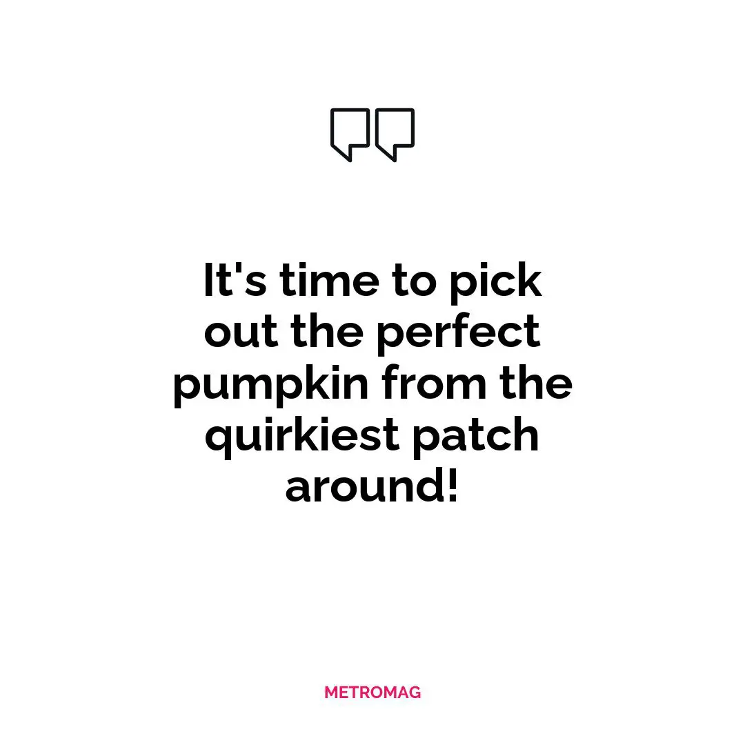 It's time to pick out the perfect pumpkin from the quirkiest patch around!