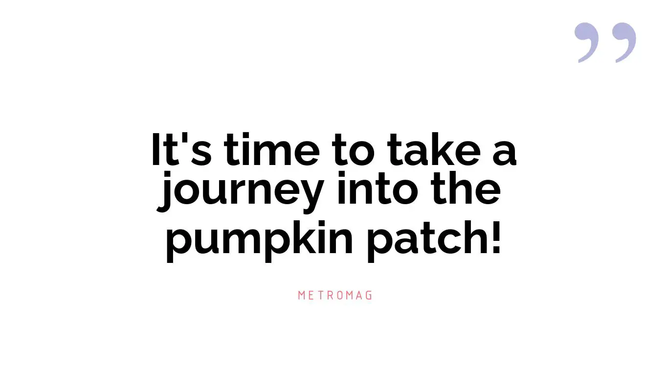 It's time to take a journey into the pumpkin patch!